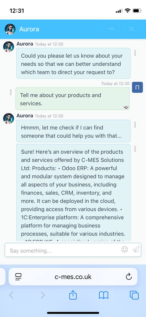 Website Chat Screenshot