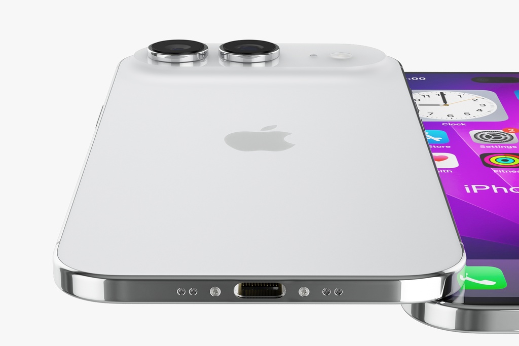 d4.jpg