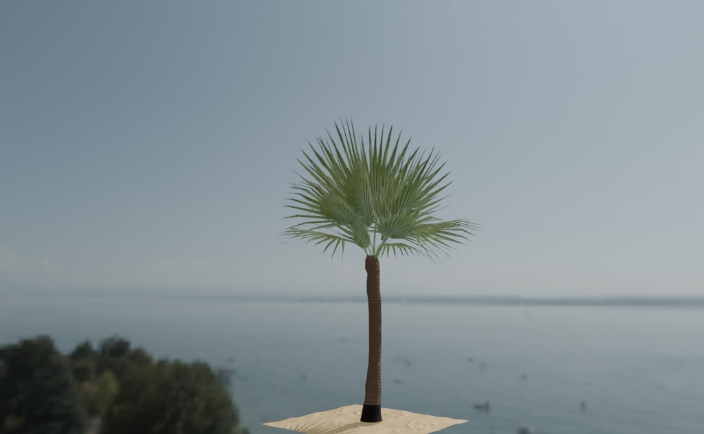 palm_tree2.jpg