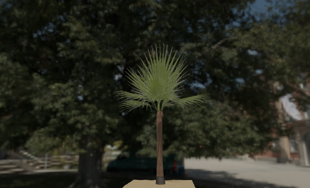 palm_tree3.jpg